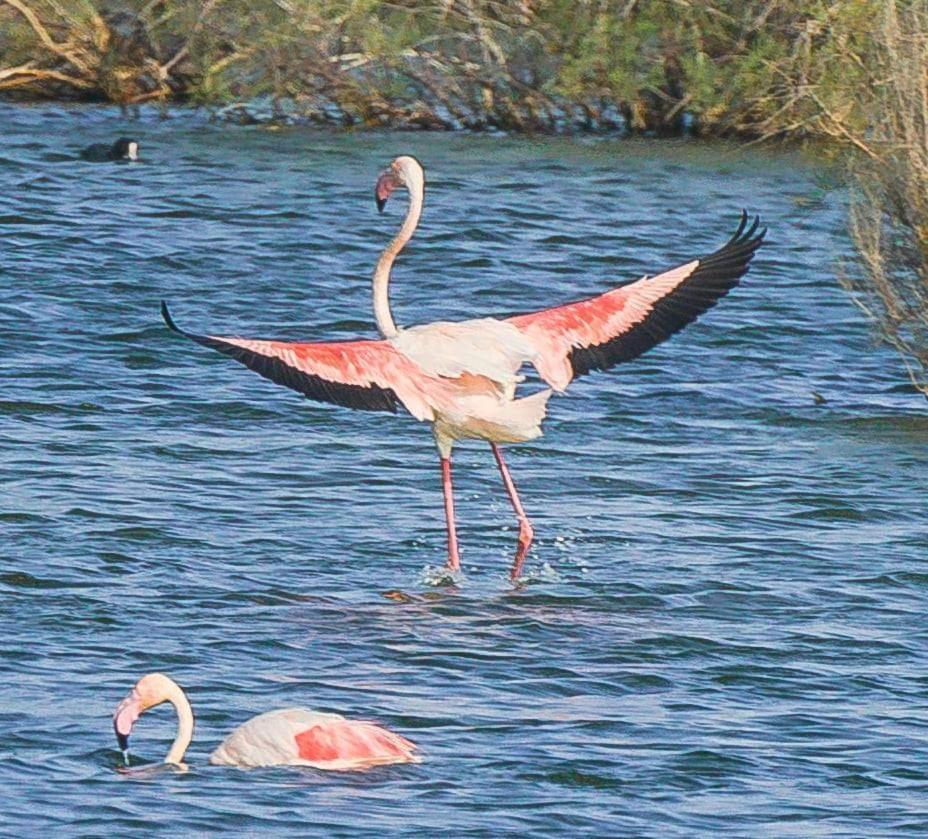 Playas de VeraRincon Del Salar公寓 外观 照片